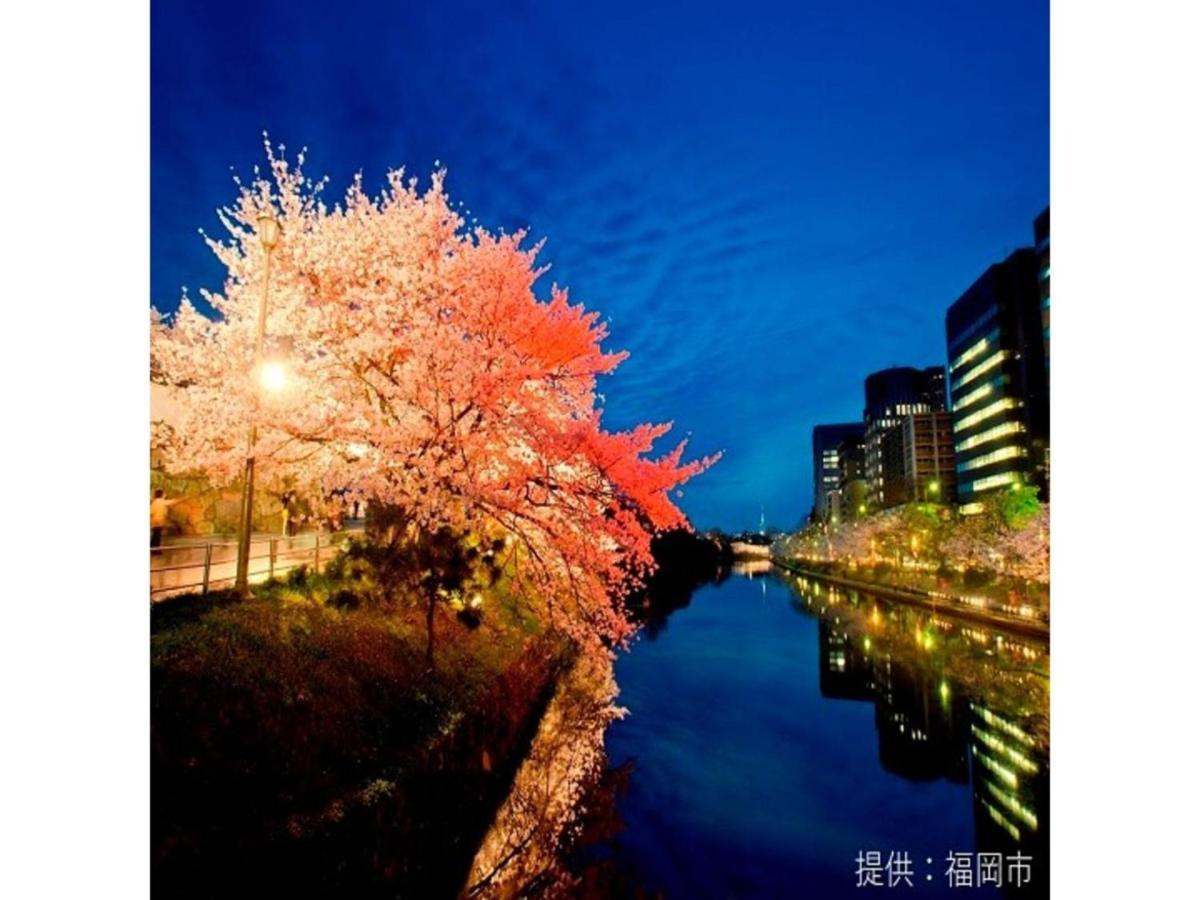 Court Hotel Fukuoka Tenjin - Vacation Stay 42334V Экстерьер фото